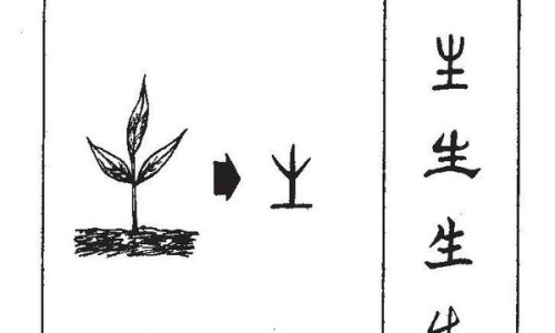 头孢分散片的用法用量-头孢分散片主治网-分享头孢分散片效果好吗，头孢分散片的用法用量知识库