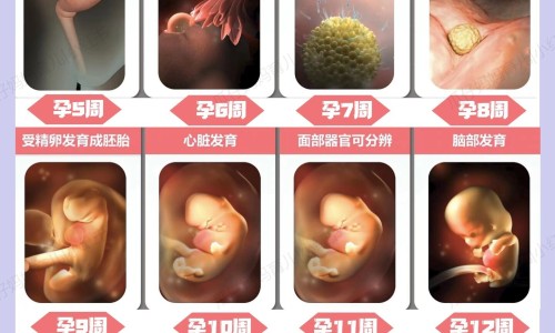 头孢分散片主治网-分享头孢分散片效果好吗，头孢分散片的用法用量知识库